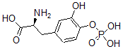 CAS 登录号：101141-95-1， 多巴4-磷酸酯