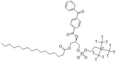 CAS#: 103583-11-5, [(2R)-2-[4-(Benzoyl)Benzoyl]Oxy-3-Hexadecanoyloxypropyl] 2-[Tris(Tritritiomethyl)Azaniumyl]Ethyl Phosphate
