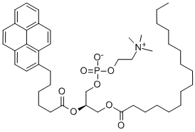 CAS#: 103625-33-8, (7R)-4-Hydroxy-N,N,N-Trimethyl-10-Oxo-7-[[1-Oxo-6-(1-Pyrenyl)Hexyl]Oxy]-3,5,9-Trioxa-4-Phosphapentacosan-1-Aminium Inner salt 4-Oxide
