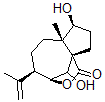 CAS 登录号：103963-36-6， 银袋内酯C