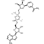 CAS#: 108321-31-9, Disodium;[[(2S,3R,4S,5S)-5-(6-Aminopurin-9-Yl)-3,4-Dihydroxy-Tetrahydrofuran-2-Yl]Methoxy-Oxido-Phosphoryl] [(2R,3S,4R,5S)-5-(3-Carbamoyl-4H-Pyridin-1-Yl)-3,4-Dihydroxy-Tetrahydrofuran-2-Yl]Methyl Phosphate