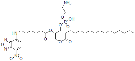 CAS#: 108762-10-3, [(2S)-3-(2-Aminoethoxy-Hydroxyphosphoryl)Oxy-2-[6-[(4-Nitro-2,1,3-Benzoxadiazol-7-Yl)Amino]Hexanoyloxy]Propyl] Hexadecanoate