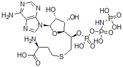 CAS#: 109214-84-8, 5'-((Homocysteinyl)methyl)adenosine 5'-(beta,gamma-imidotriphosphate)