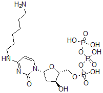 CAS 登录号：110537-14-9， [(2R,3S,5R)-5-[4-(6-氨基己基氨基)-2-氧代嘧啶-1-基]-3-羟基四氢呋喃-2-基]甲基(羟基-膦酰氧基磷酰)磷酸氢酯