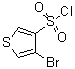 CAS 登录号：111283-90-0， 4-溴-3-噻吩磺酰氯