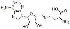 CAS#: 111770-79-7, N(4)-Adenosyl-N(4)-Methyl-2,4-Diaminobutanoic Acid