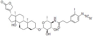 CAS 登录号：112761-66-7， 3-(4-叠氮基-3-碘苯基)丙酰胺-4-(4,6-二脱氧葡糖基)洋地黄毒苷元