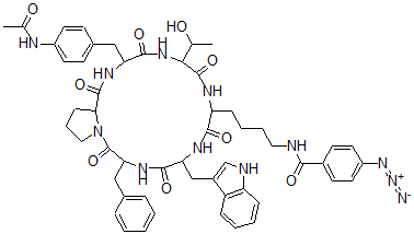 CAS 登录号:113400-63-8, 环(苯丙氨酰-(4-乙酰氨基)苏氨酰-赖氨酰-(4-叠氮基苯甲酰基)色氨酰-苯丙氨酰-脯氨酰)
