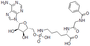 CAS 登录号：113527-46-1， (2S)-6-[[[(2R,3S,4R,5R)-5-(6-氨基嘌呤-9-基)-3,4-二羟基四氢呋喃-2-基]甲氧基-羟基磷酰]氨基]-2-[[2-(苯甲酰基氨基)乙酰基]氨基]己酸