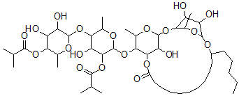 CAS 登录号：115655-77-1， 鱼黄草甙B