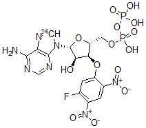 CAS 登录号：117414-72-9， 3'-O-(5-氟-2,4-二硝基苯基)二磷酸腺苷醚