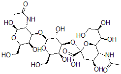 CAS#: 117773-04-3, (2S,4S,5R,6R)-5-Acetamido-2-[(2R,3R,4S,5S,6R)-2-[(2R,3R,4R,5R,6R)-3-Acetamido-2,5-Dihydroxy-6-(Hydroxymethyl)Oxan-4-Yl]Oxy-3,5-Dihydroxy-6-(Hydroxymethyl)Oxan-4-Yl]Oxy-4-Hydroxy-6-[(1R,2R)-1,2,3-Trihydroxypropyl]Oxane-2-Carboxylic Acid