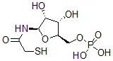 CAS 登录号:119619-78-2, 2-巯基-N-(5-O-膦酰-beta-D-呋喃核糖基)乙酰胺