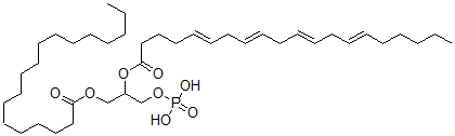 CAS 登录号：119904-30-2， 1-硬脂酰-2-花生四烯酰基磷脂酸