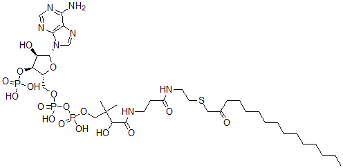 CAS 登录号：121124-66-1， S-(2-氧代十五烷基)-辅酶A