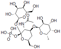 CAS 登录号：122998-77-0， [(2R,3R,4S,6S)-3-乙酰氨基-6-(羟基甲基)-2-[(2S,3R,4S,5R,6R)-3,4,5-三羟基-6-(羟基甲基)四氢吡喃-2-基]氧基-4-[(2R,3S,4R,5S,6S)-3,4,5-三羟基-6-甲基四氢吡喃-2-基]氧基四氢吡喃-2-基]磷酸二氢酯