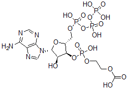 CAS#: 124199-67-3, Phosphoglyceroyl-adenosine triphosphate