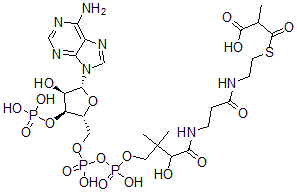 CAS#: 1264-45-5, Methylmalonyl-Coenzyme A