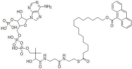 CAS#: 129385-08-6, 16-(9-Anthroyloxy)palmitoyl-coenzyme A