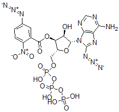 CAS#: 129391-97-5, [(2R,3S,4R,5R)-5-(6-Amino-8-Azidopurin-9-Yl)-4-Hydroxy-2-[[Hydroxy-(Hydroxy-Phosphonooxyphosphoryl)Oxyphosphoryl]Oxymethyl]Oxolan-3-Yl] 5-Azido-2-Nitrobenzoate
