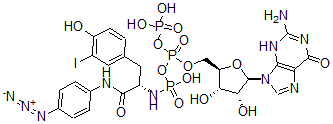 CAS 登录号：129592-79-6， [[(2R,3S,4R,5R)-5-(2-氨基-6-氧代-3H-嘌呤-9-基)-3,4-二羟基四氢呋喃-2-基]甲氧基-膦酰氧基磷酰]氧基-N-[(2S)-1-[(4-叠氮基苯基)氨基]-3-(4-羟基-3-碘苯基)-1-氧代丙烷-2-基]氨基磷酸
