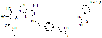 CAS 登录号：129666-43-9， (2S,3S,4R,5R)-5-[6-氨基-2-[2-[4-[3-[2-[(4-异硫氰酸基苯基)硫代氨基甲酰氨基]乙基氨基]-3-氧代丙基]苯基]乙基氨基]嘌呤-9-基]-N-乙基-3,4-二羟基四氢呋喃-2-甲酰胺