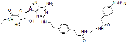 CAS#: 129932-69-0, (2S,3S,4R,5R)-5-[6-Amino-2-[2-[4-[3-[2-[[2-(4-Azidophenyl)Acetyl]Amino]Ethylamino]-3-Oxopropyl]Phenyl]Ethylamino]Purin-9-Yl]-N-Ethyl-3,4-Dihydroxyoxolane-2-Carboxamide