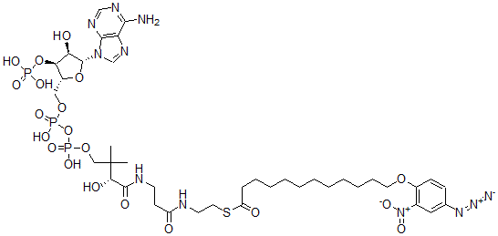 CAS 登录号：130766-07-3， 12-(4'-叠氮基-2'-硝基苯氧基)月桂酰-辅酶A