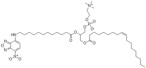 CAS 登录号：131479-28-2， [2-[12-[(4-硝基-2,1,3-苯并恶二唑-7-基)氨基]月桂酰氧基]-3-[(Z)-十八碳-9-烯酰基]氧基丙基]2-三甲基铵乙基磷酸酯盐