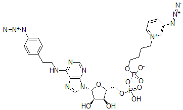 CAS 登录号：132210-01-6， [[(2R,3S,4R,5R)-5-[6-[2-(4-叠氮基苯基)乙基氨基]嘌呤-9-基]-3,4-二羟基四氢呋喃-2-基]甲氧基-羟基磷酰]4-(3-叠氮基吡啶-1-鎓-1-基)丁基磷酸酯