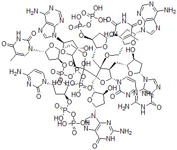 CAS#: 133983-37-6, 2'-Deoxycytidylyl-(5'-3')-Thymidylyl-(5'-3')-2'-Deoxyadenylyl-(5'-3')-2'-Deoxycytidylyl-(5'-3')-2'-Deoxyguanylyl-(5'-3')-Thymidylyl-(5'-3')-2'-Deoxyadenylyl-(5'-3')-2'-Deoxy-Guanosine