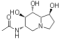 CAS#: 134100-29-1, N-[(1S,6S,7R,8R,8aR)-1,7,8-Trihydroxyoctahydro-6-Indolizinyl]Acetamide