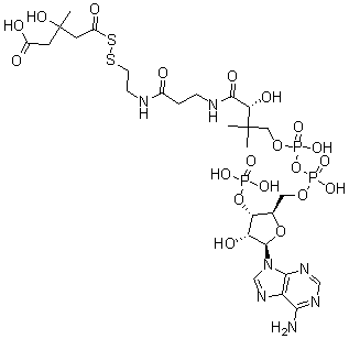 CAS#: 134785-93-6, S-[(4-Carboxy-3-Hydroxy-3-Methyl-1-Oxobutyl)Thio]-Coenzyme A