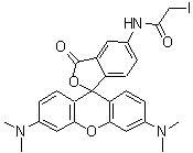 CAS 登录号：136538-85-7， N-[3',6'-二(二甲基氨基)-3-氧代-3H-螺[2-苯并呋喃-1,9'-氧杂蒽]-5-基]-2-碘乙酰胺