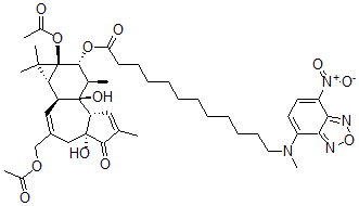 CAS#: 137034-69-6, Phorbol-13-acetate-12-N-methyl-N-4-(N,N'-di(2-hydroxyethyl)amino)-7-nitrobenz-2-oxa-1,3-diazole-aminododecanoate