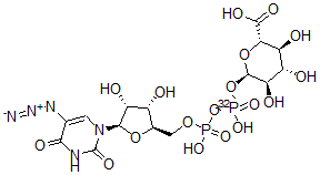 CAS#: 137528-00-8, (2S,3S,4S,5R,6R)-6-[[[(2R,3S,4R,5R)-5-(5-Azido-2,4-Dioxopyrimidin-1-Yl)-3,4-Dihydroxyoxolan-2-Yl]Methoxy-Hydroxyphosphoryl]Oxy-Hydroxyphosphoryl]Oxy-3,4,5-Trihydroxyoxane-2-Carboxylic Acid