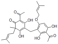 CAS 登录号：138169-54-7， 2-乙酰基-4-[[3-乙酰基-2,4-二羟基-6-(3-甲基丁-2-烯氧基)苯基]甲基]-3,5-二羟基-6-甲基-6-(3-甲基丁-2-烯基)环己-2,4-二烯-1-酮