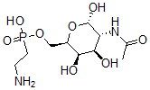 CAS 登录号：139039-73-9， [(2R,3R,4R,5R,6S)-5-乙酰氨基-3,4,6-三羟基四氢吡喃-2-基]甲氧基-(2-氨基乙基)次磷酸
