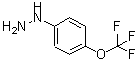 CAS#: 13957-54-5, [4-(Trifluoromethoxy)Phenyl]Hydrazine