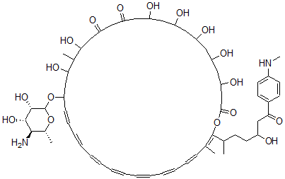 CAS 登录号：1404-87-1， 真菌霉素