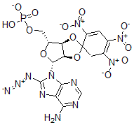 CAS 登录号：141096-03-9， [(3aR,4R,6R,6aR)-6-(6-氨基-8-叠氮基嘌呤-9-基)-1',2',4'-三硝基螺[3a,4,6,6a-四氢呋喃并[4,3-d][1,3]二氧杂环戊烯-2,5'-环己-1,3-二烯]-4-基]甲基磷酸氢酯
