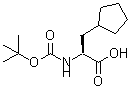 CAS 登录号：143415-31-0， 3-环戊基-N-{[(2-甲基-2-丙基)氧基]羰基}-L-丙氨酸