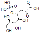 CAS 登录号：143651-48-3， (4R,5S,6R,7R)-5,6,7,8-四羟基-2-氧代-4-膦酰氧基辛酸