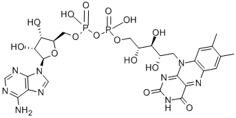 CAS#: 146-14-5, [5-(6-Aminopurin-9-Yl)-3,4-Dihydroxyoxolan-2-Yl]Methyl [[5-(7,8-Dimethyl-2,4-Dioxobenzo[g]Pteridin-10-Yl)-2,3,4-Trihydroxypentoxy]-Hydroxyphosphoryl] Hydrogen Phosphate