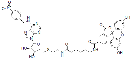 CAS#: 147395-08-2, N-[6-[2-[[(2S,3S,4R,5R)-3,4-Dihydroxy-5-[6-[(4-Nitrophenyl)Methylamino]Purin-9-Yl]Oxolan-2-Yl]Methylsulfanyl]Ethylamino]-6-Oxohexyl]-3',6'-Dihydroxy-3-Oxospiro[2-Benzofuran-1,9'-Xanthene]-5-Carboxamide