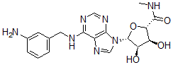 CAS 登录号：152918-20-2， (2S,3S,4R,5R)-5-[6-[(3-氨基苯基)甲基氨基]嘌呤-9-基]-3,4-二羟基-N-甲基四氢呋喃-2-甲酰胺