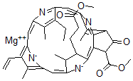 CAS 登录号：15741-04-5， 甲基脱植基叶绿素A