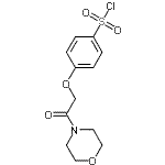 CAS 登录号：167404-10-6， 4-[2-(4-吗啉基)-2-氧代乙氧基]苯磺酰氯