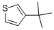CAS 登录号：1689-79-8， 3-叔丁基噻吩