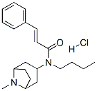 CAS 登录号：171261-31-7， (E)-N-丁基-N-(8-甲基-8-氮杂双环[3.2.1]辛烷-3-基)-3-苯基丙-2-烯酰胺盐酸盐